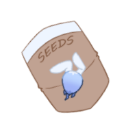 Mountain Raphanus Seeds