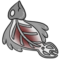 Grey Skelt